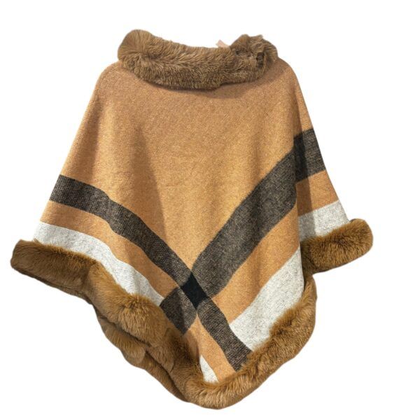 El caballo Poncho Dolores