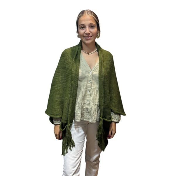 El Caballo Poncho Flecos