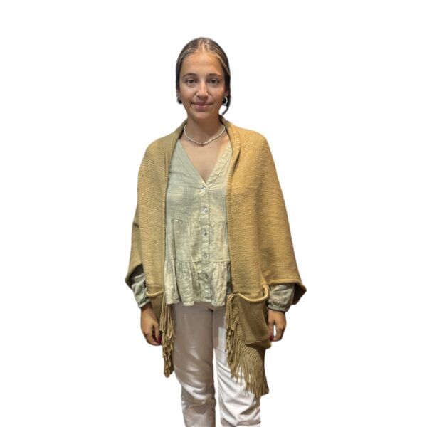 El Caballo Poncho Flecos