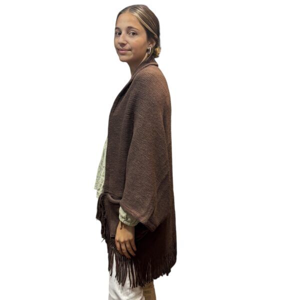 El Caballo Poncho Flecos