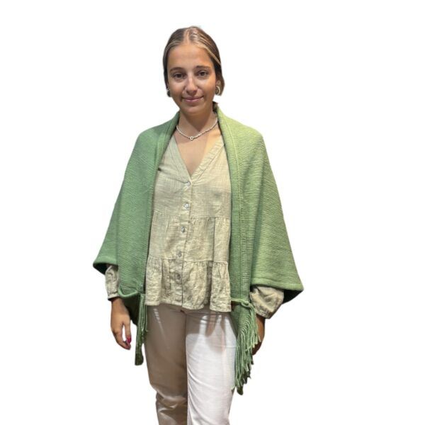 El caballo Poncho flecos