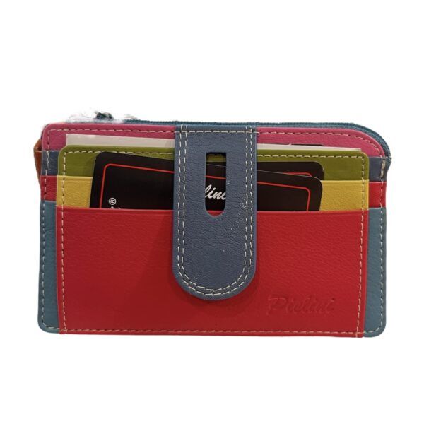 El caballo Tarjetero con monedero