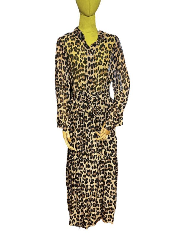 El caballo Vestido de leopardo