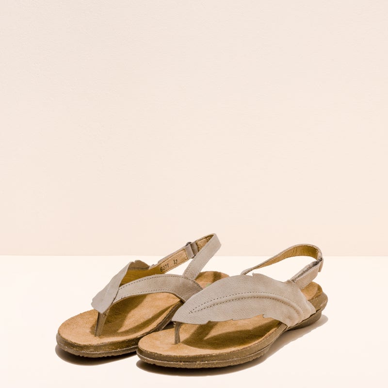 El Naturalista 5078 INDIA PRODUCCIÓN