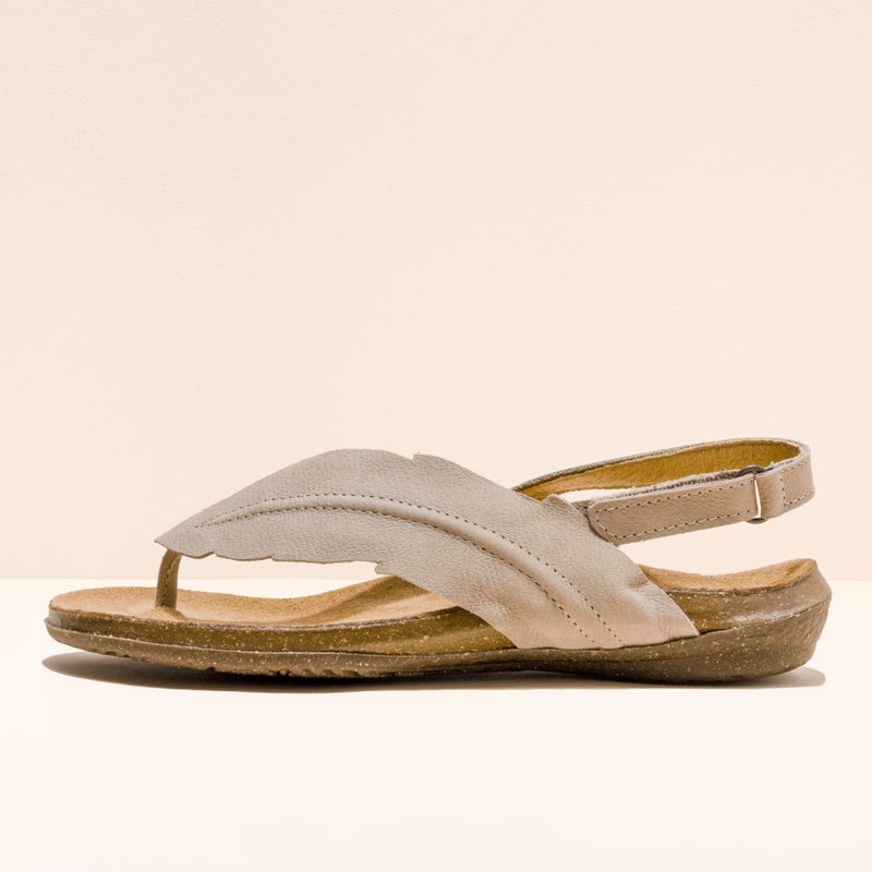 El naturalista 5078 INDIA PRODUCCIÓN