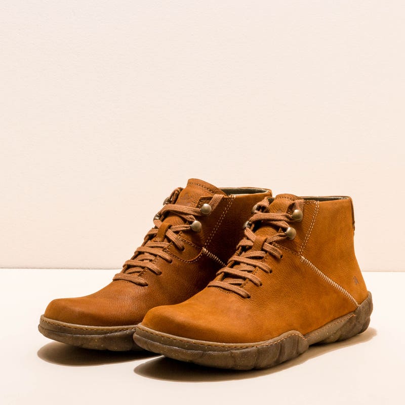 El Naturalista 5083 TURTLE