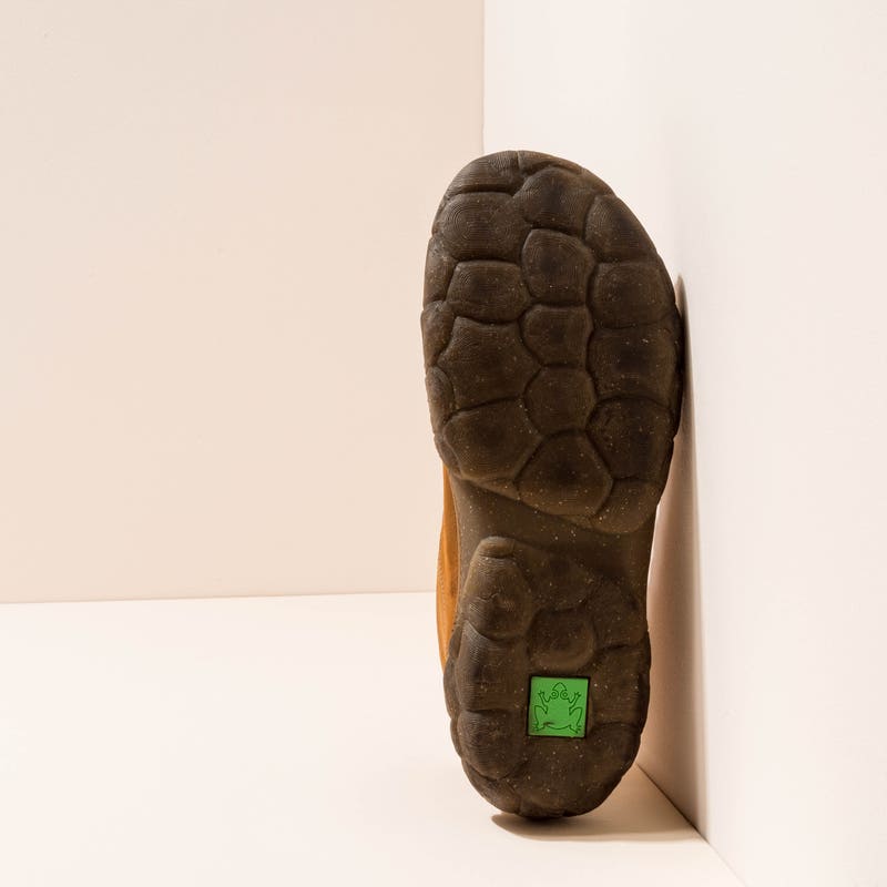 El Naturalista 5083 TURTLE