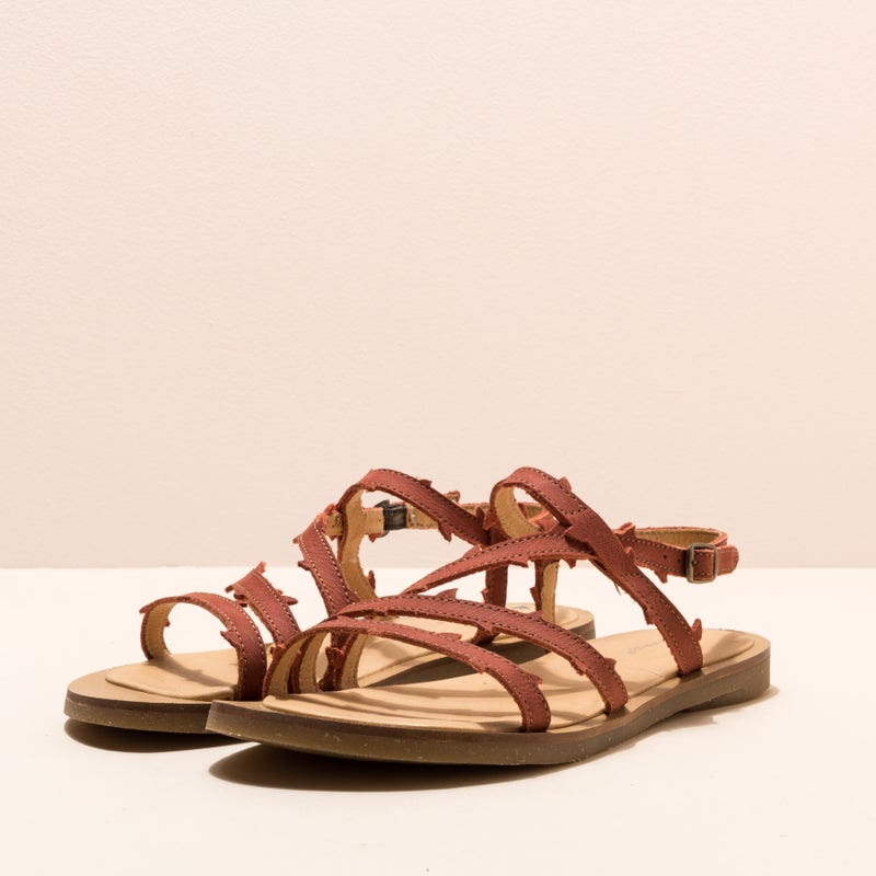 El Naturalista 5193 TULIP