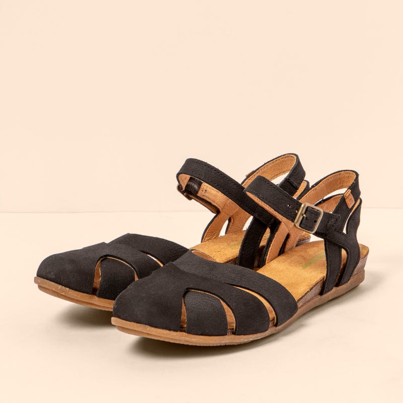 El Naturalista 5207 STELLA