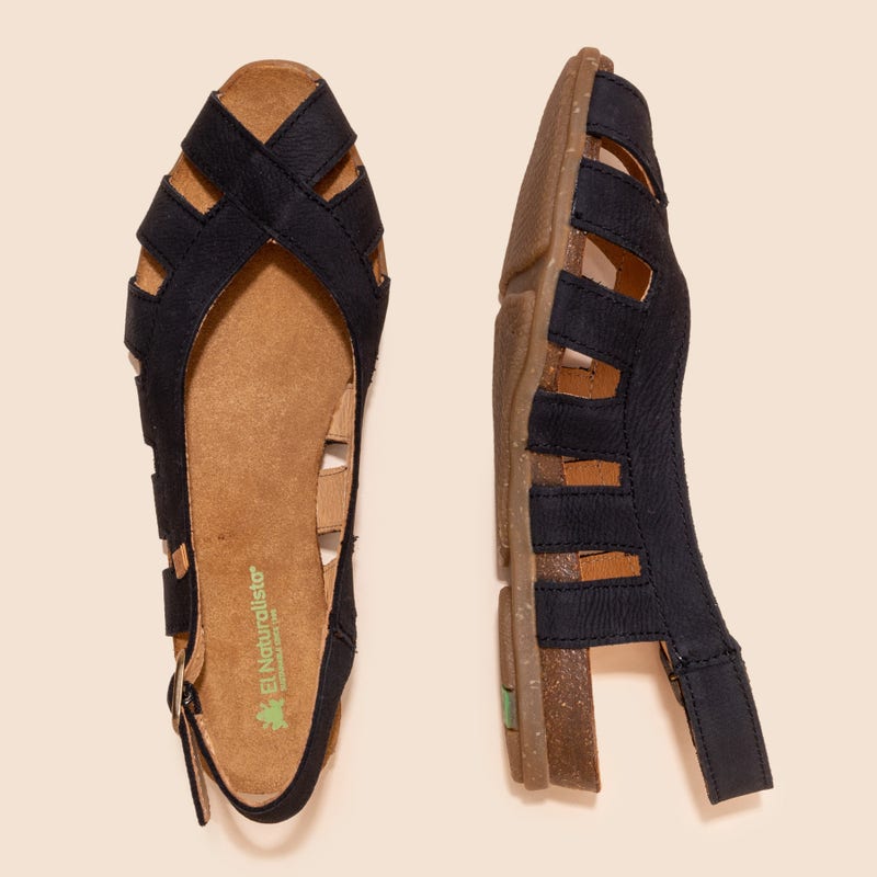 El Naturalista 5213 STELLA