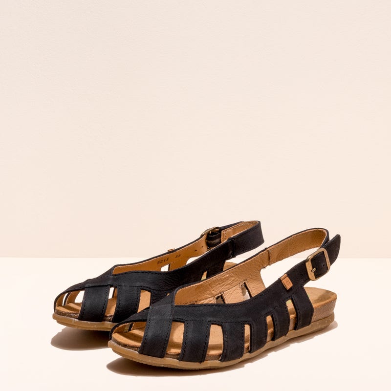 El Naturalista 5213 STELLA