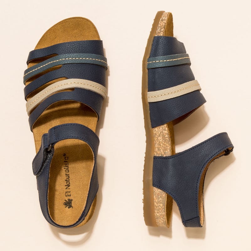 El Naturalista 5247 ZUMAIA