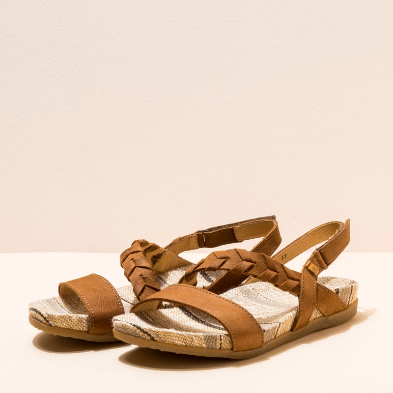 El Naturalista 5255 ZUMAIA