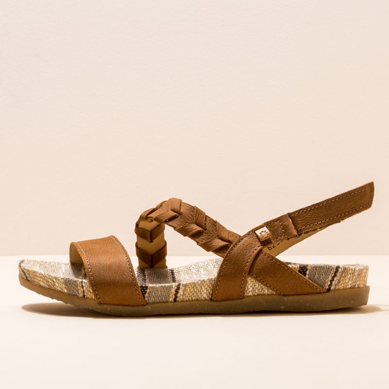 El naturalista 5255 ZUMAIA