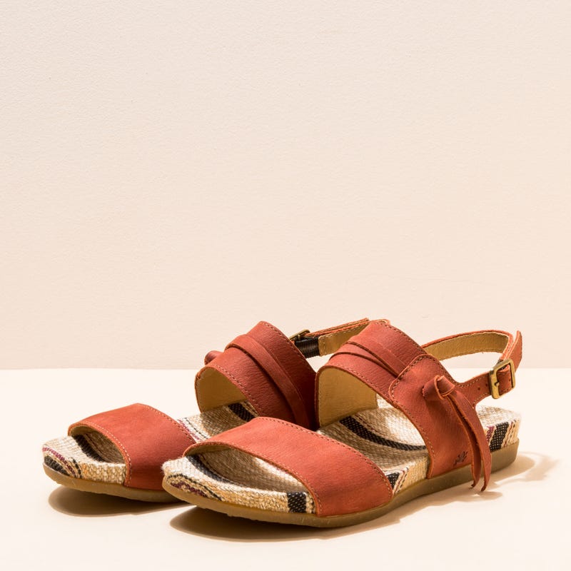 El Naturalista 5256 ZUMAIA