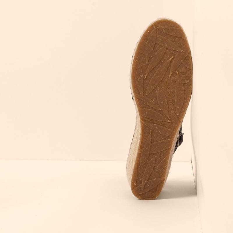 El Naturalista 5260 ALMAZARA