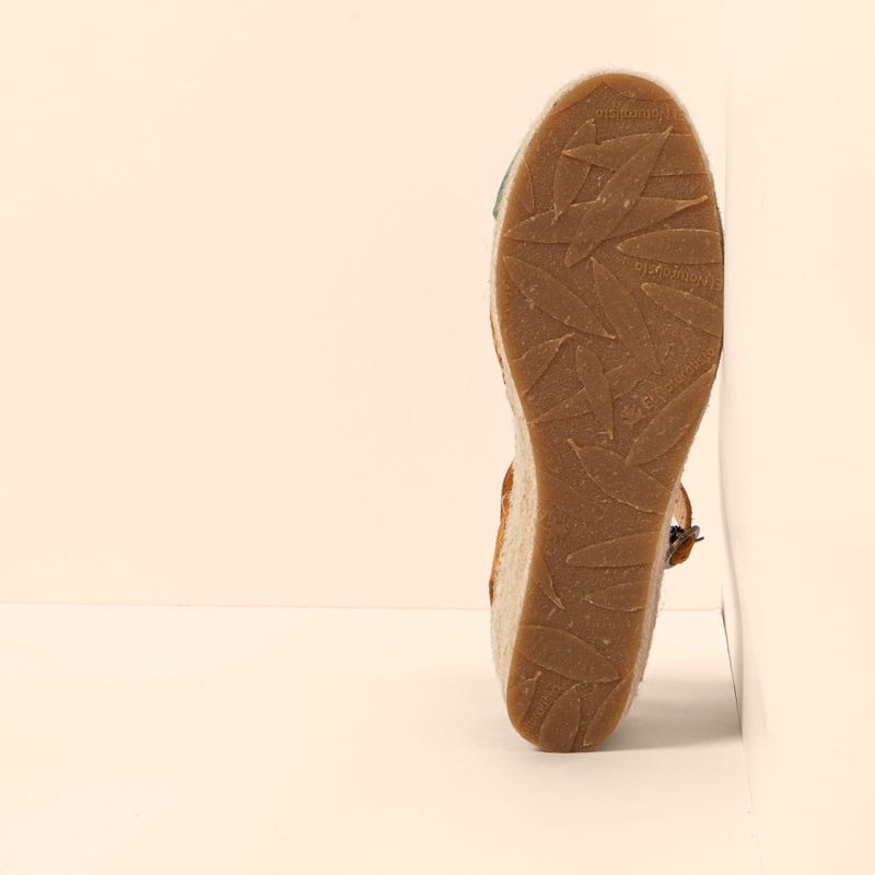 El Naturalista 5261 ALMAZARA