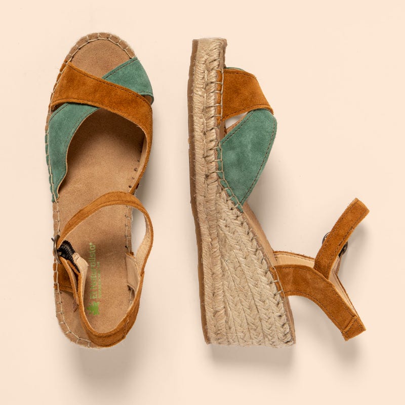 El Naturalista 5261 ALMAZARA