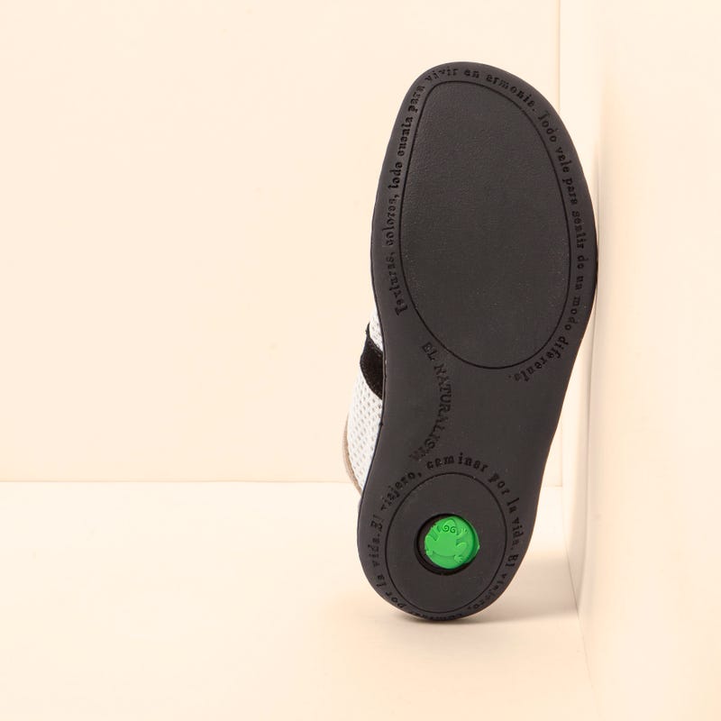 El Naturalista 5293 EL VIAJERO