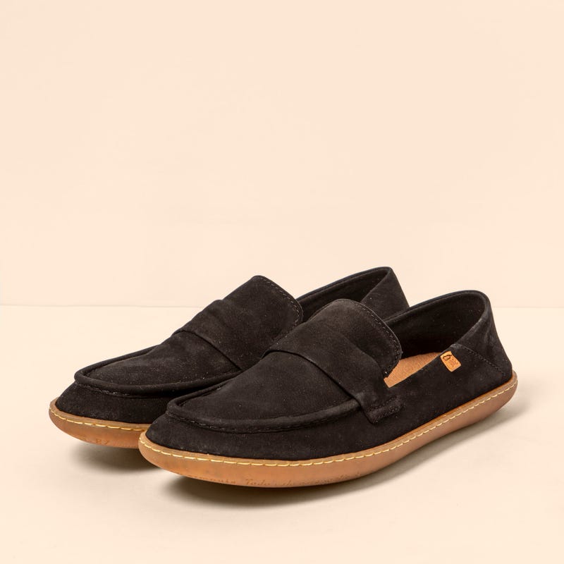 El Naturalista 5294 EL VIAJERO