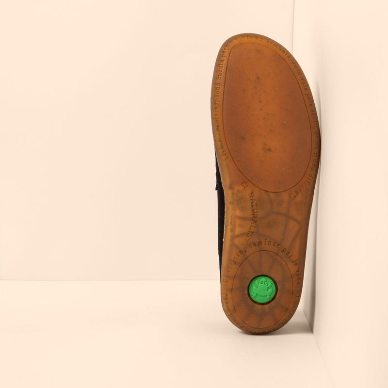 El Naturalista 5294 EL VIAJERO