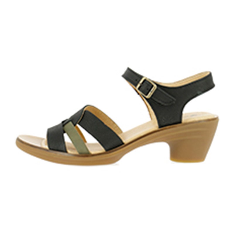 El naturalista 5364 AQUA