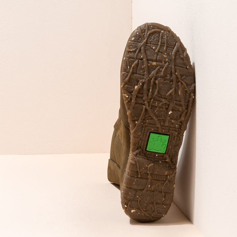 El Naturalista 5469 ANGKOR