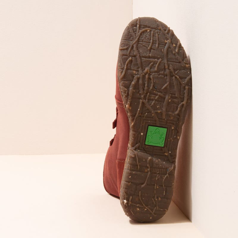 El Naturalista 5470 ANGKOR