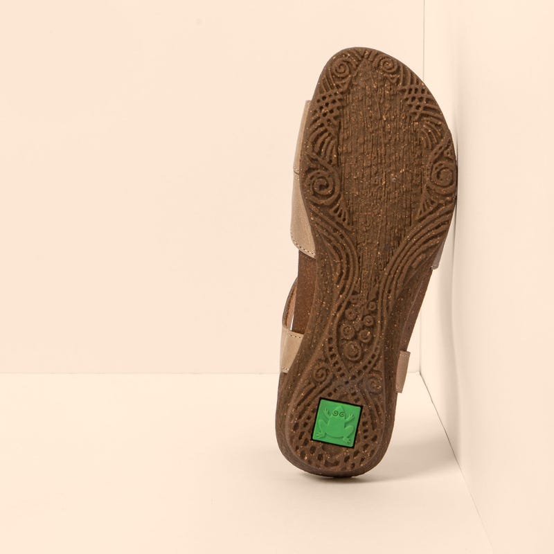 El Naturalista 5557 WAKATAUA