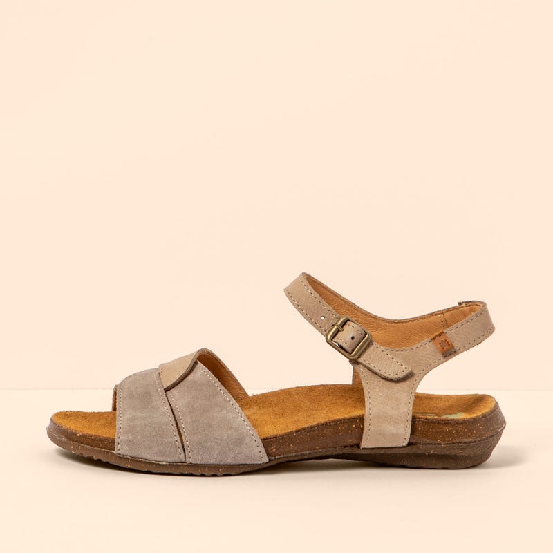 El naturalista 5557 WAKATAUA