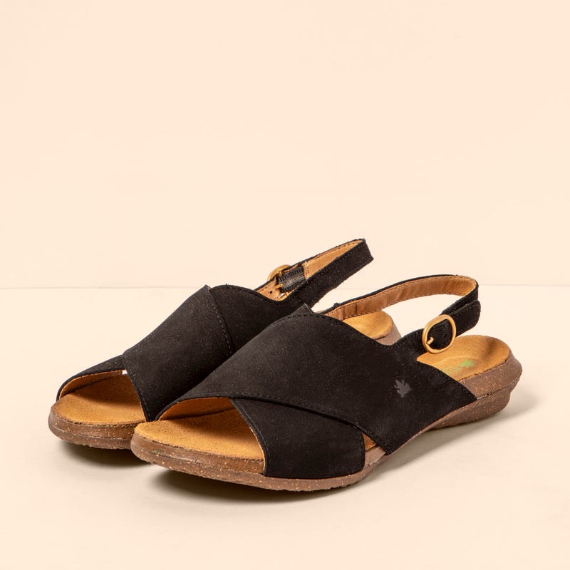 El Naturalista 5558 WAKATAUA