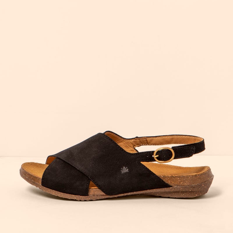 El Naturalista 5558 WAKATAUA