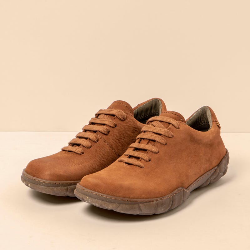 El Naturalista 5616 TURTLE