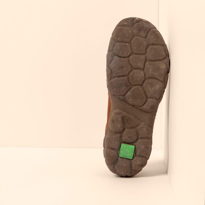 El Naturalista 5616 TURTLE