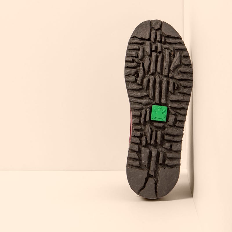 El Naturalista 5634 FELSEN