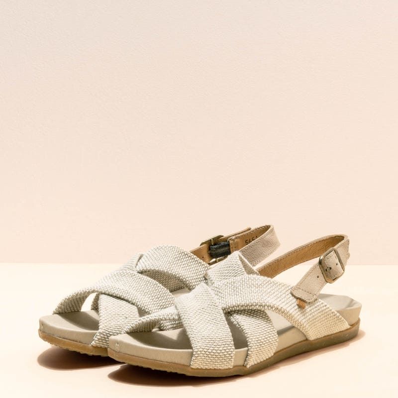 El Naturalista 5651 ZUMAIA