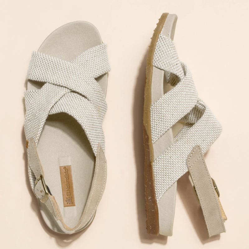 El Naturalista 5651 ZUMAIA