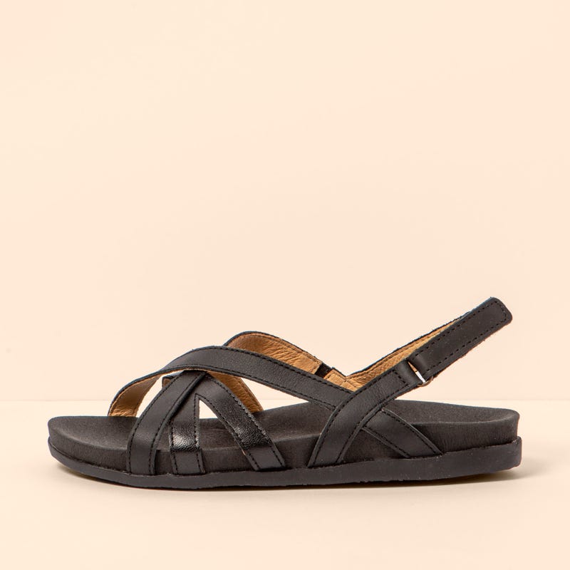 El naturalista 5653 ZUMAIA