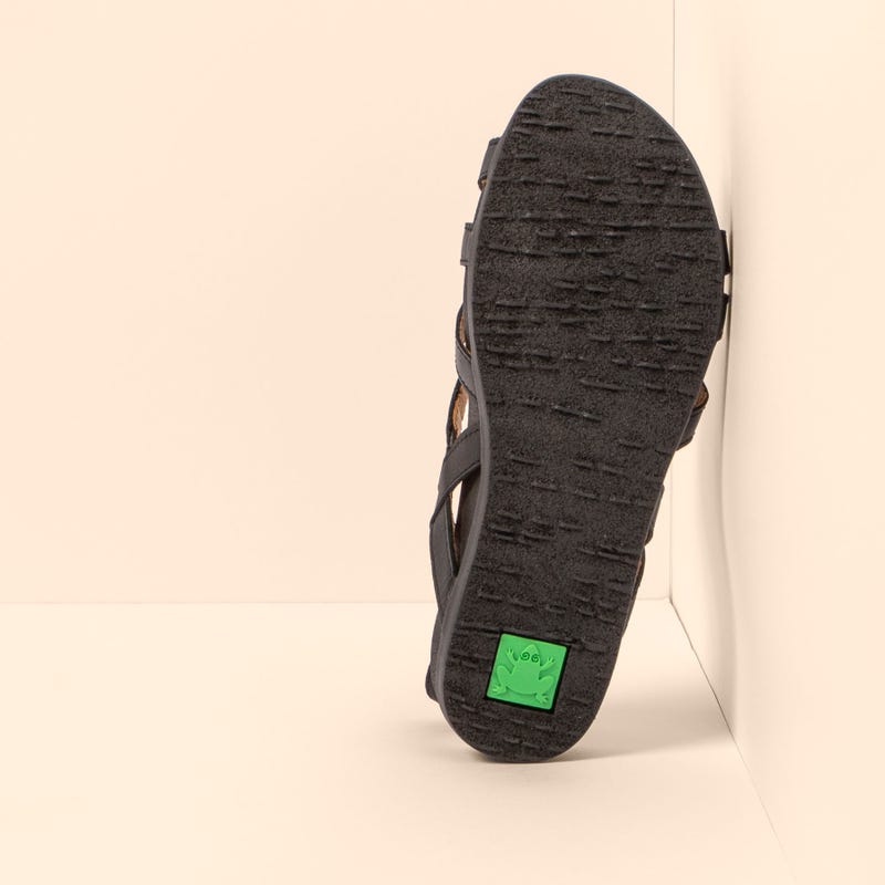 El Naturalista 5653 ZUMAIA