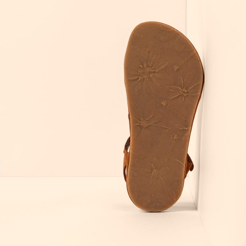 El Naturalista 5686 SATYA