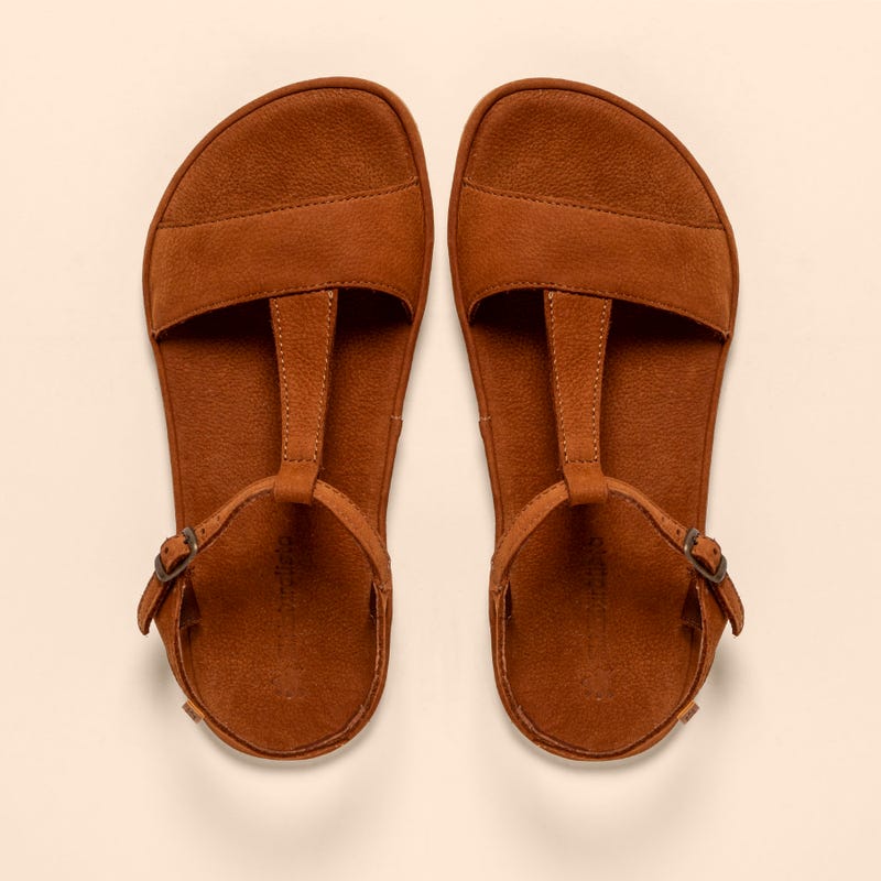 El Naturalista 5686 SATYA