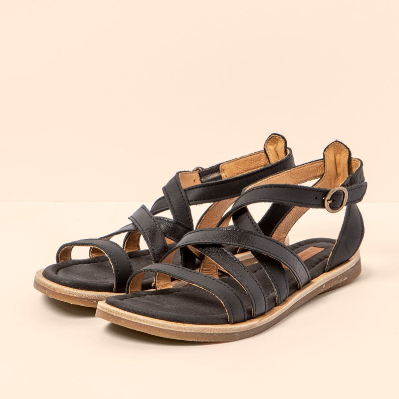 El Naturalista 5691 TONAMI