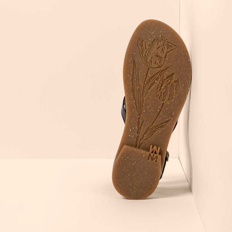 El Naturalista 5691 TONAMI