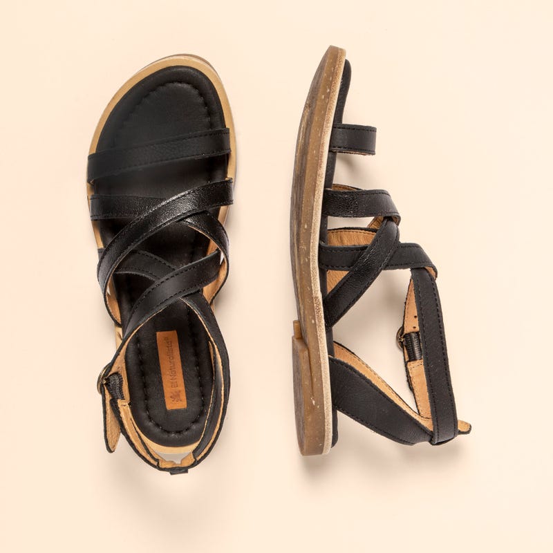 El Naturalista 5691 TONAMI