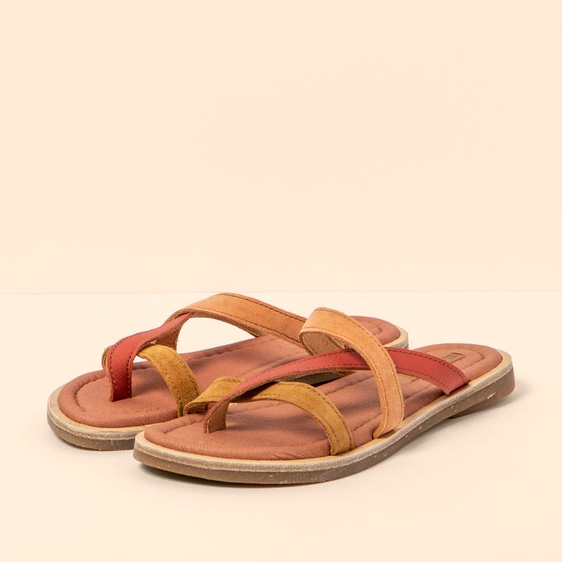 El Naturalista 5692 TONAMI