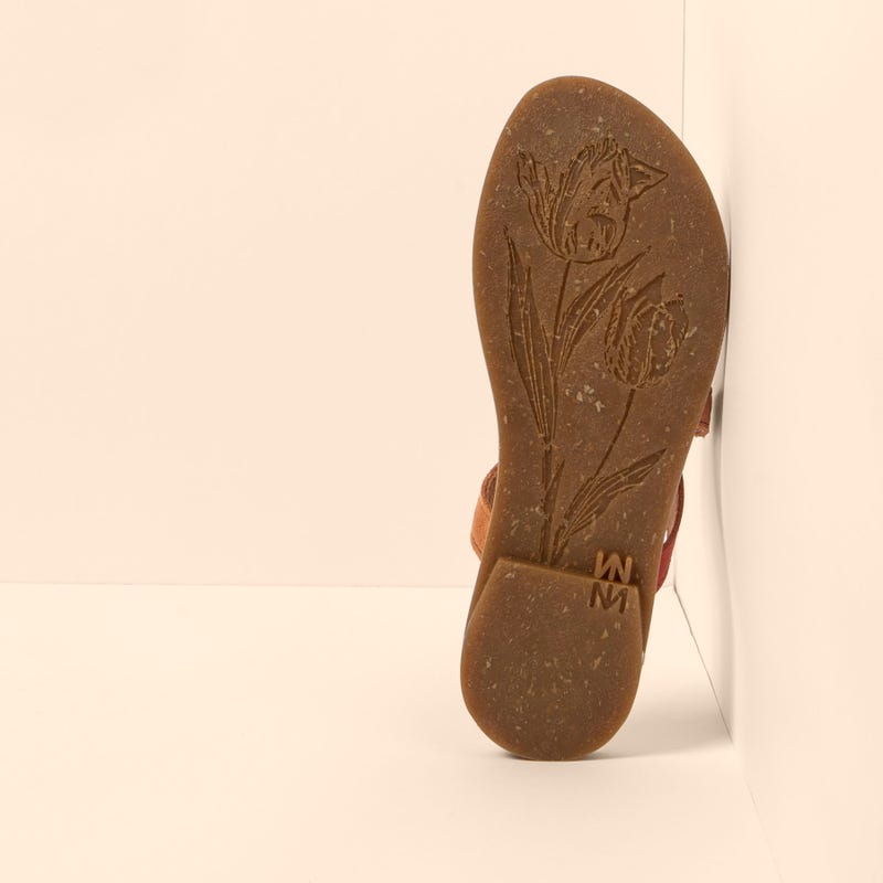 El Naturalista 5692 TONAMI