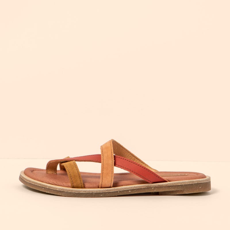 El naturalista 5692 TONAMI