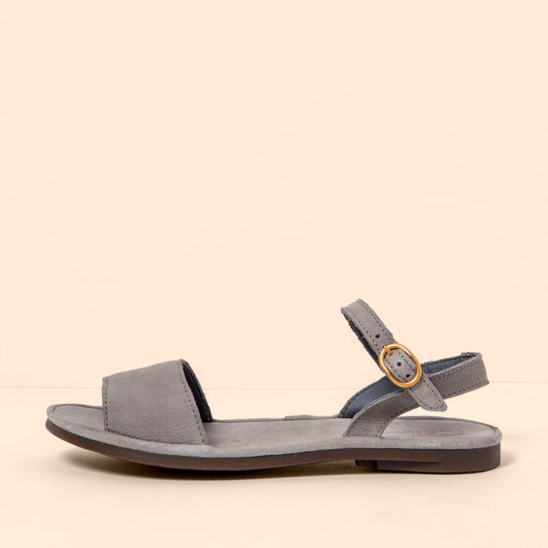 El naturalista 5693 TULIP