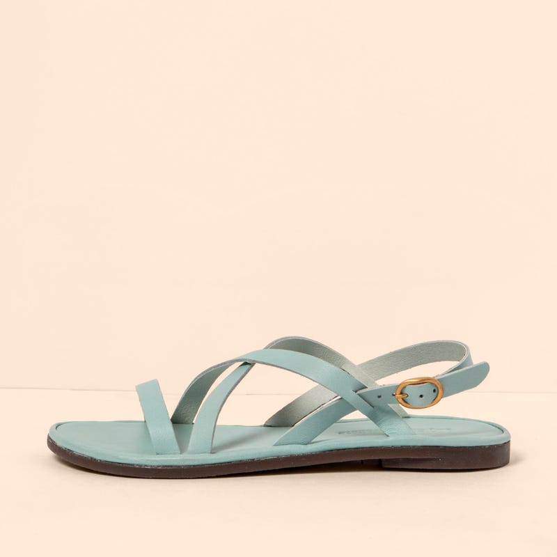 El Naturalista 5694 TULIP