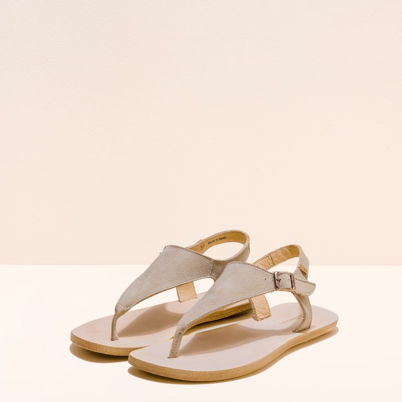 El Naturalista 5710 CORATINA